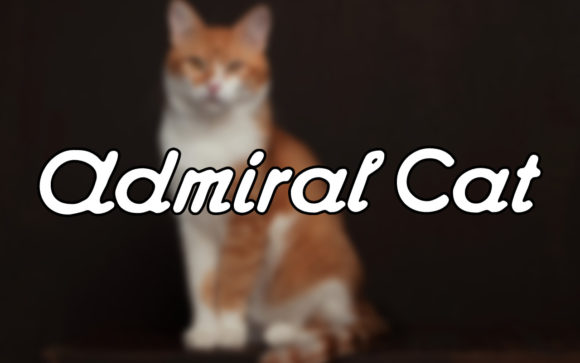 Admiral Cat: A Handwritten Font That Balances Charm and Clarity