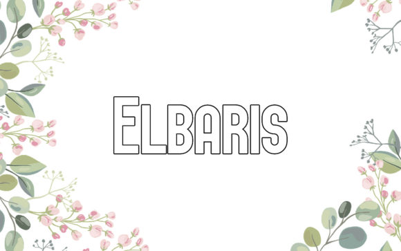 Elbaris: Where Creative Vision Meets Minimalist Clarity