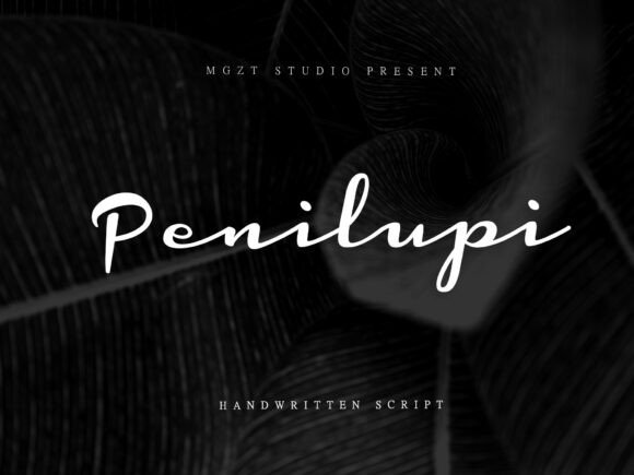 Penilupi: A Retro Script Font with Modern Branding Power