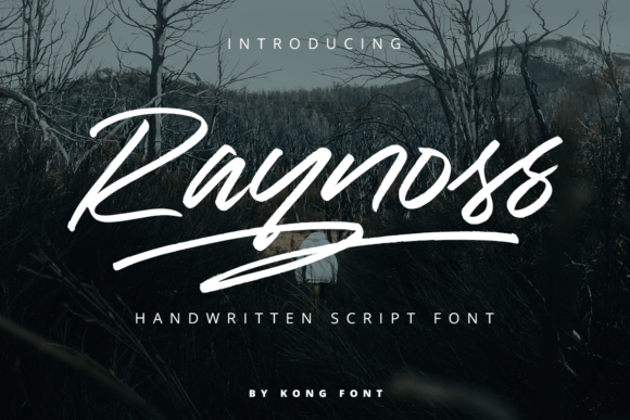 Raynoss: A Playful Handwritten Font for Modern Creators