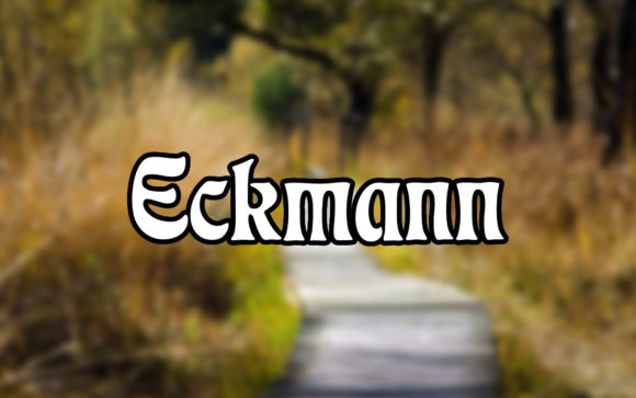 Unlocking Potential: The Eckmann Typeface